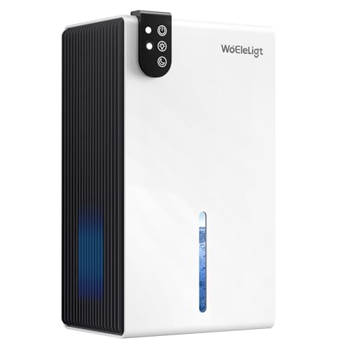 Small Dehumidifier for Home with Auto Shut-Off