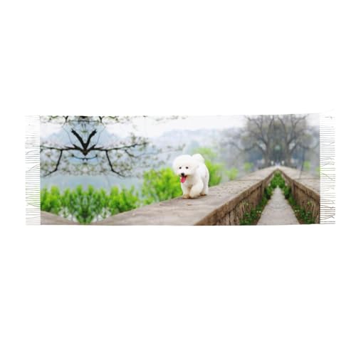 Hnnkloy Bichon Frisé Parc Animaux Chiens Bichon Frisé,Écharpe en imitation cachemire pour femme, grande taille, châle léger à pompons, 196 x 68 cm