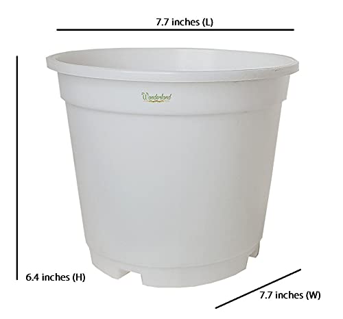 Image of Wonderland 8 inch Set of 3 Big Planter (Plastic Pots for Home Plants) (White)