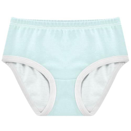 Joisal Light Cyan Aqua Little Girl Panties Toddler Underwear Floral Cotton Personalized Briefs Kids Undies 2t