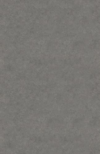 サンゲツ『粘着シート石目・コンクリート2』