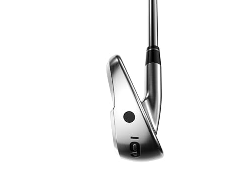 Callaway Apex Ti Fusion 250 Iron Set – Steel Regular Flex