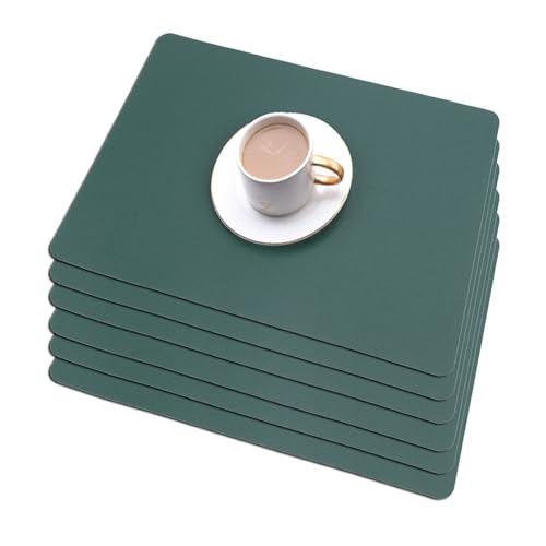 Soulnioi Placemats Set of 6
