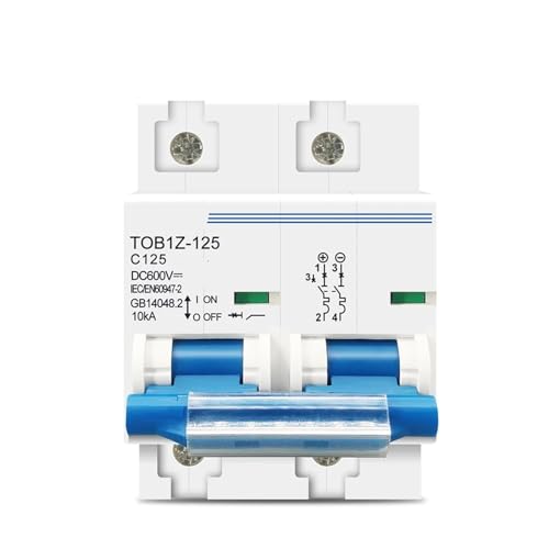 2P 100A 80A 125A DC MCB 600V Circuit Breaker for PV C Curve MCB Battery Main Switch 1Pcs(100A)
