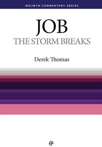 WCS Job: The Storm Breaks