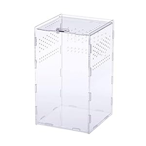 LANCHEN Insect Voeding Doos 12x12x20cm Acryl Transparant Fokken Case voor Spin Hagedis Centipede Gehoornde Kikker Snake