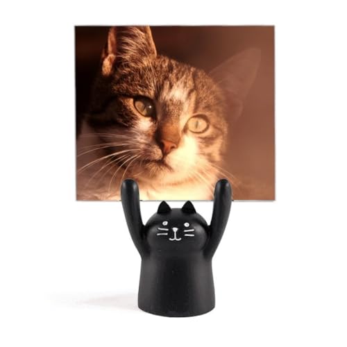 ̊IȎBesimpolL J[gD[LX^h^z_[