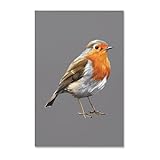 Photo Gallery robin bird wall art divertente tela decorazione da parete estetica per soggiorno camera da letto casa ufficio Photo Gallery robin bird wall art divertente tela decorazione da parete estetica per soggiorno camera da letto casa ufficio