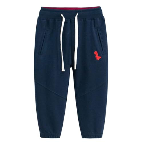 Dinosaur Sweatpants for Boys Kids Toddler Baby Jogger Pants Drawstring Elastic Waist Casual Sweat Pants with Pockets