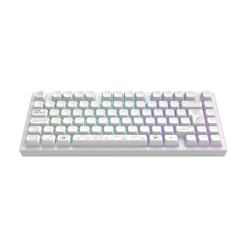Dark Project ALU81A TERRA NOVA Clavier de jeu mécanique sans fil | ISO Multi | Hot-Swap | Commutateurs graissés G3MS Moonstone | Stabilisateurs graissés | Montage sur joint flexible | Aluminium | 75 %