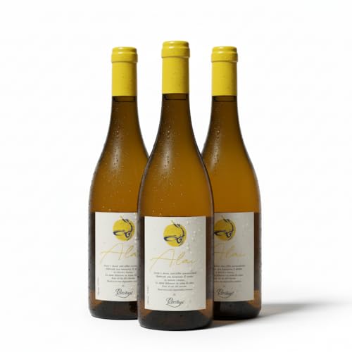 Monovarietal Alai – Sidra Natural 100% Manzana Txalaka del País Vasco con Denominación de Origen Euskal Sagardoa, 6% Vol., Fresca, Afrutada y de Cuerpo Reconocible (Pack 3)