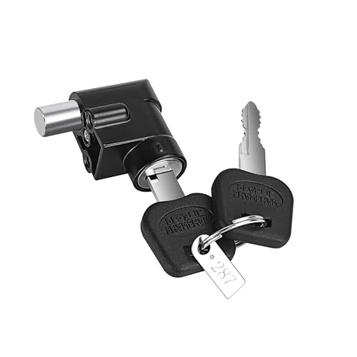 EliphonTowne Akkugehäuse für Elektrofahrräder, Power-Schloss und Schlüssel, 13 mm, verriegelt, 20 mm, für Hailong E-Bike-Schloss, Batteriegehäuse (20 mm, schwarz) 0604