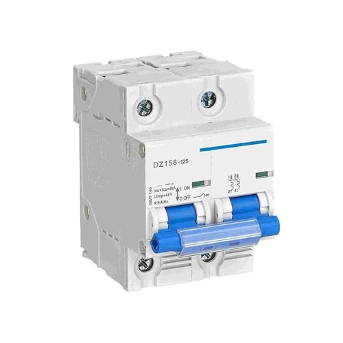 Disjoncteur miniature bipolaire DZ158-125 2P 80A pour protection circuit