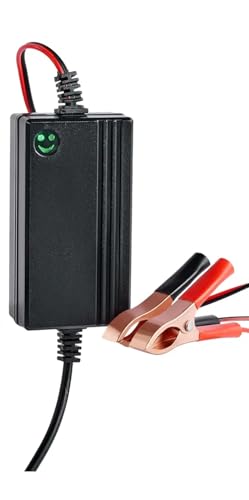ARUSPRAY Store ARUSPRAY 12V 7Ah 1.7A DC Battery Charger for Car, - Image 2