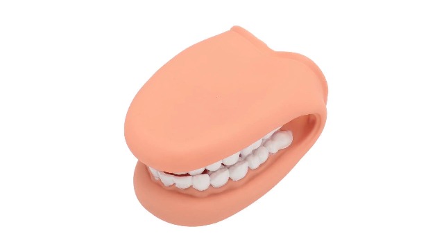 3 Pcs Marionnette Bouche avec Langue Dents Marionnette Main Modèle Dentaire avec Brosse à Dents pour Garçon Fille Outil Éducatif, 3 x Modèle de Dent 3 x Brosse à Dents, Couleur Photo