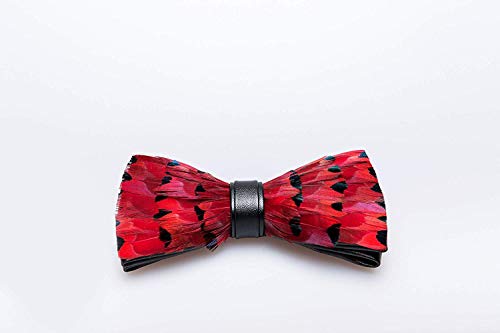 Feather Bow Tie Peacock Pre-Tied Bow Tie Brooch Sets Tuxedo Banquet Necktie #TOP2