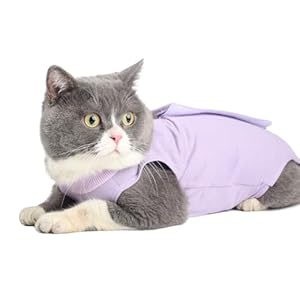 EASY JOY Recovery Suit Cat, Cat Body After Op, Postoperative Cat Clothing for Abdominal Wounds or Skin Diseases, E-Collar Alternative for Cats, Soft Home Indoor Pet Clothing (M,Purple)