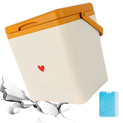 Refrigerador de coche, refrigerador portátil, refrigerador aislado de 7 L con asa – Caja de hielo, refrigerador de para playa, camping, talonado, deporte, piscina