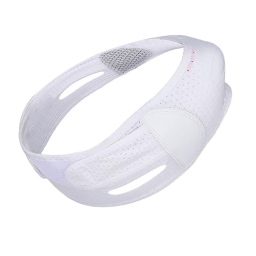 Ipetboom V[̗֊s𐮂tFCXtgXgbv ʋCfނŔɗD tFCV }XN tFCXPAp `tgxg