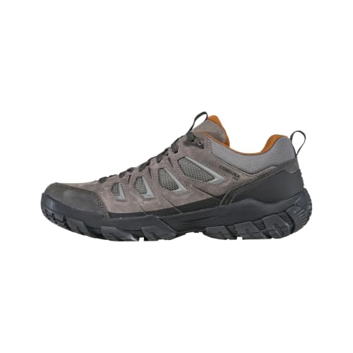 Image of Oboz Men's Sawtooth X Low Hiking Shoe