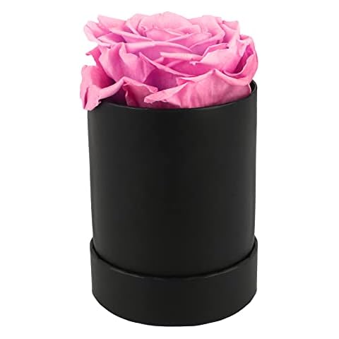 SMLJFO Eternal Roses In a Box, Everlasting Flower Preserved Rose Round Long Lasting Eternity Roses Single For Wedding Birthday Anniversary Baby Pink Cover