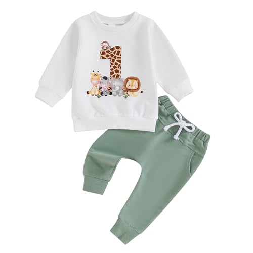 Geagodelia Baby Jungen 1. Geburtstag Kleidung Babykleidung Outfit Set...