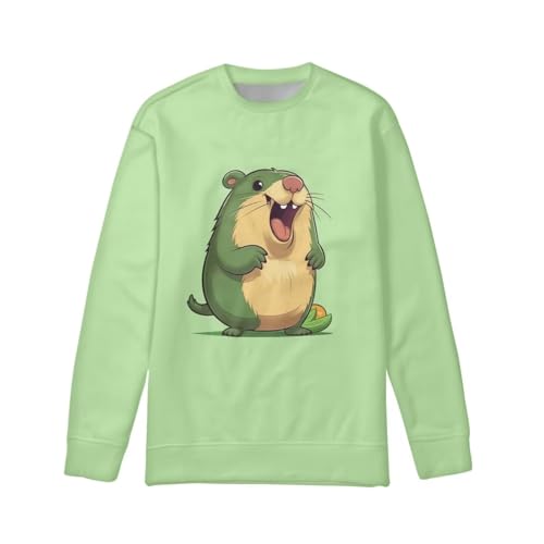 Kids Toddler Boys Sweatshirt Hoodie Clothes Fall Winter Long Sleeve Shirt Top Sweater Clothing Outfit3