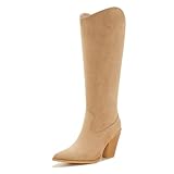 ZXHYZLZ レディース ニーハイスエードブーツ – サイドジッパーとポインテッドトゥ付き秋冬ハイヒールブーツ, ベージュスエード, 23.0 cm