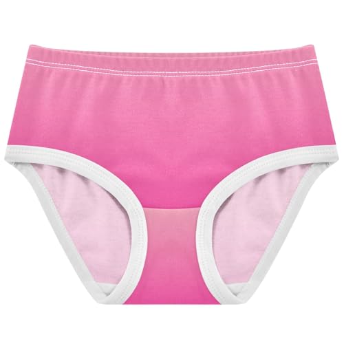 Joisal Blush Pink Ombre Gradient Toddler Girls Underwear 2t Cotton Cute Panties Girl Fun Print Kids Undies Briefs