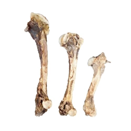 ペットフード研究所 国産無添加 鹿足骨5本セット