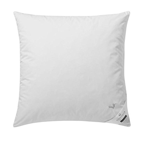 Billerbeck Kopfkissen E04 Gold Edition 15 mit Fester Stützkraft - 80 x 80...