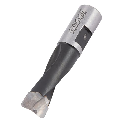 Trend Domino Bit, 10 mm Diameter, Slotting tool for Festool Domino DF500 Dowel Mortising System, Tungsten Carbide Tipped, DOM/10