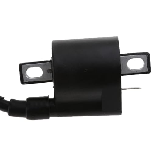 Bobina de encendido TW200 con interruptor y cable metálico de 300 mm para ATV 4