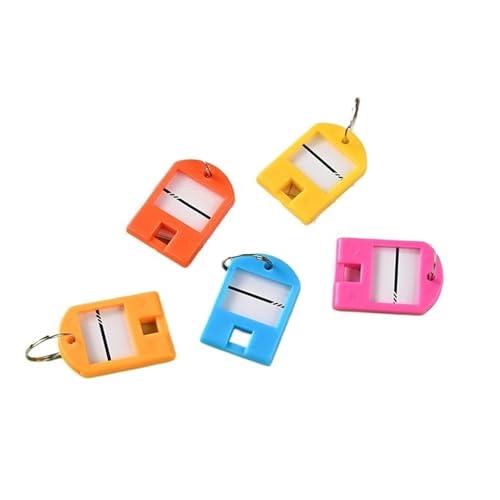Étiquette de voyage pour clés et bagages : lot de 100 marqueurs de couleur anti-perte avec anneau