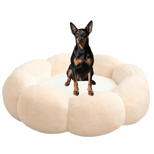 Lifetips }`FX^[eA }`F ӂӂybgxbh Lp 􂦂 ~ ~p NbV ʔNΉ ې􂢉 Lpxbh ~p ~ߒ 􂦂Jo[ ᔽNbV iVFsNj