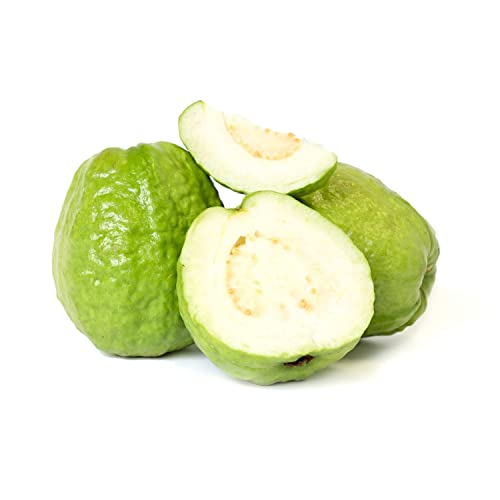 Guava Vietnam 1 kg Approx.