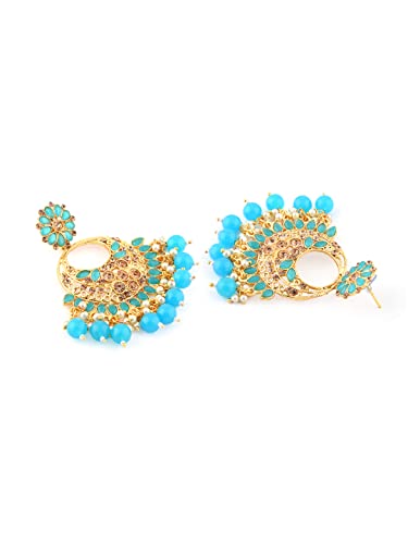Traditional Dangle & Drop Earring-ZPFK7466