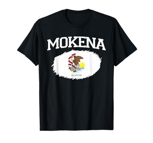 How far is mokena illinois from me