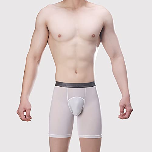 Men's Sexy Boxer See Through Ultra Thin Mesh Breathable Bikini Ice Silk Low Rise Pants Men New Feeling Underwear3
