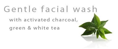 Nardos-Natural-Facial-Cleanser-All-Natural-Daily-Face-Wash-for-Women-with-Vitamin-C-Activated-Charcoal-Green-Tea-Gentle-Face-Cleanser-for-Men-Gentle-Cleaner-for-Dry-Acne-Prone-Skin