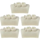 Die zahnmedizinische Lehrstudie nicht verformbar und leicht, eignet sich für Zahnärzte und Zahnmedizinstudenten und hilft Menschen, die Struktur und Funktion von Zähnen besser zu verstehen.