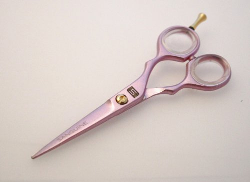 Ciseaux de coiffeur pour couper et effiler 14 cm - Matériel de coiffure avec étui rigide