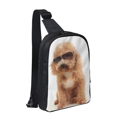 [RFSHOPQT] {fB[obO TOXgC v[h V_[ {fB ΂ߊ| | Y fB[X EΉ e h y c^ AEghA ] ʋ ʊw s