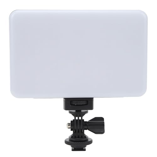 Luz LED RGB para vídeos y fotografía con batería y app remota 2