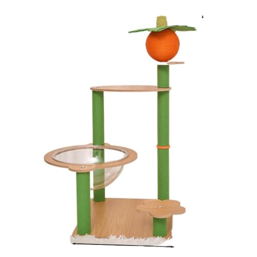 Angoda Lbg^[ Lxbh L̉ ؐ w I[C FJvZ Wv Ki~⏕ ϝSϖ  ȃXy[X ~j Lp ybg (tFg|XgLpNC~Ot[)