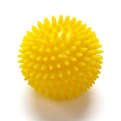 KRUM Chikitsa Gel Exercise Ball