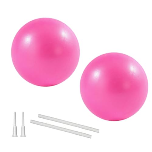 Image of 9 Inch Exercise Pilates Ball Mini Exercise Barre Ball for Yoga,Stability Exercise Training Gym Anti Burst and Slip Resistant Balls Physical Therapy Improves Balance, Core Strength