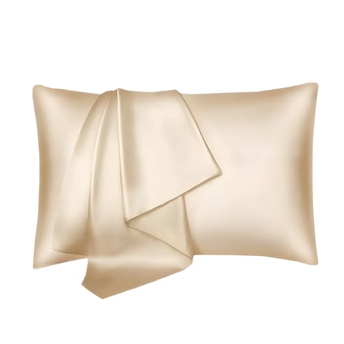 [Miflaier]yʃTeJo[zyVNzGx[v \ȍx|GXe VOQ qΉ iȌ xbhlp