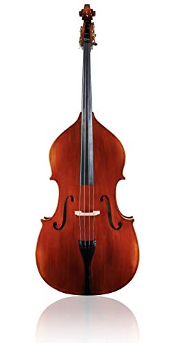 Professional Bass (Spruce Top Maple Back, Ribs And Scroll Ebony Fingerboard And Tailpiece Helicore Strings) (3/4) #TOP26