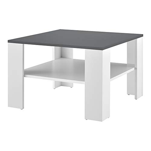[en.casa] Table Basse de Salon Table d'Appoint avec Espace de Rangement Stockage Panneaux de Particule Bois 60 x 60 x 40 cm Blanc et Gris Foncé
